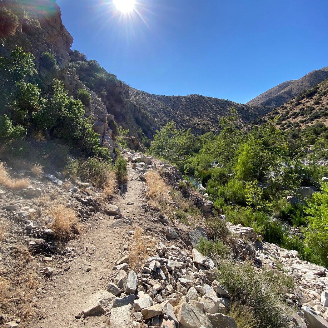 Bradford Ridge Path 1